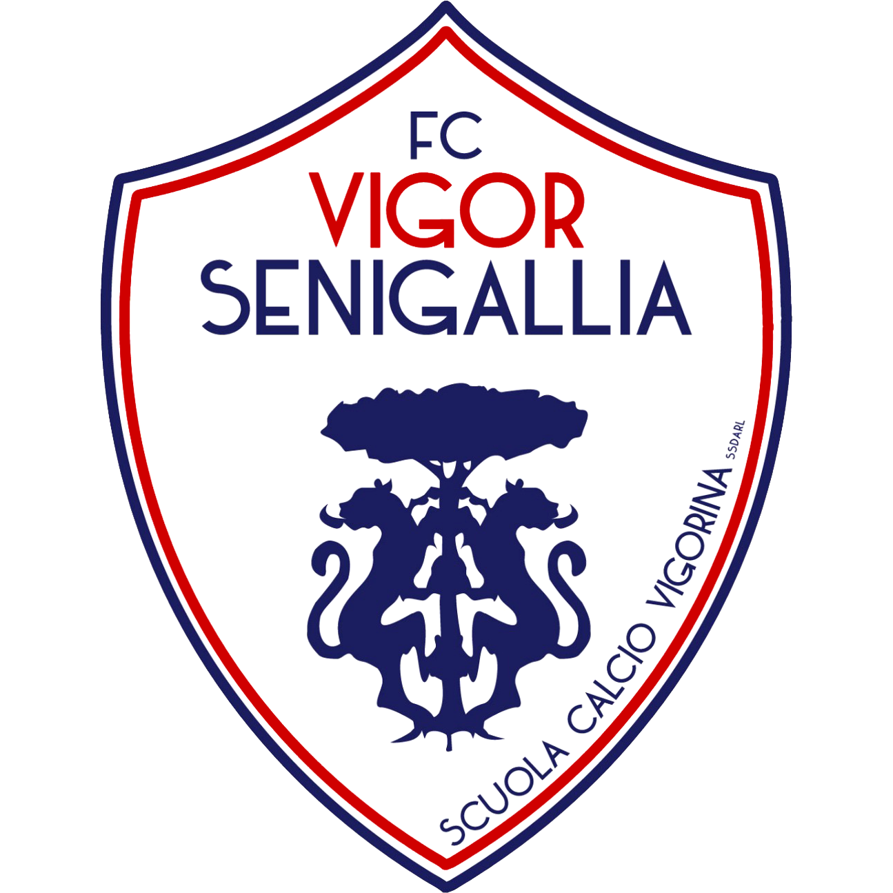 Vigor Senigallia