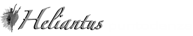 HELIANTUS PUNTO DANZA